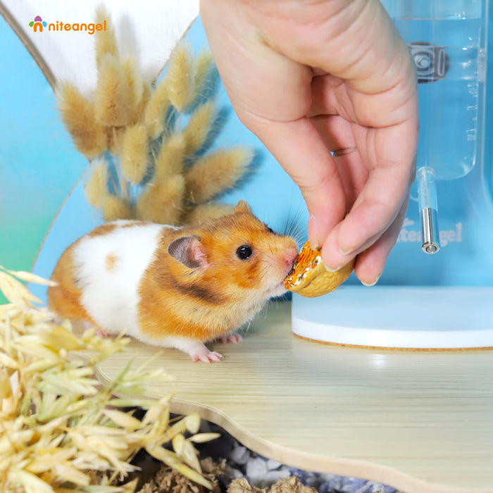 Niteangel Hamster Snack & Treats Toy - Small Animal Natural Treat Mix for Dwarf Syrian Robo Hamsters Gerbils Mice Lemmings Degus or Other Small-Sized Pets