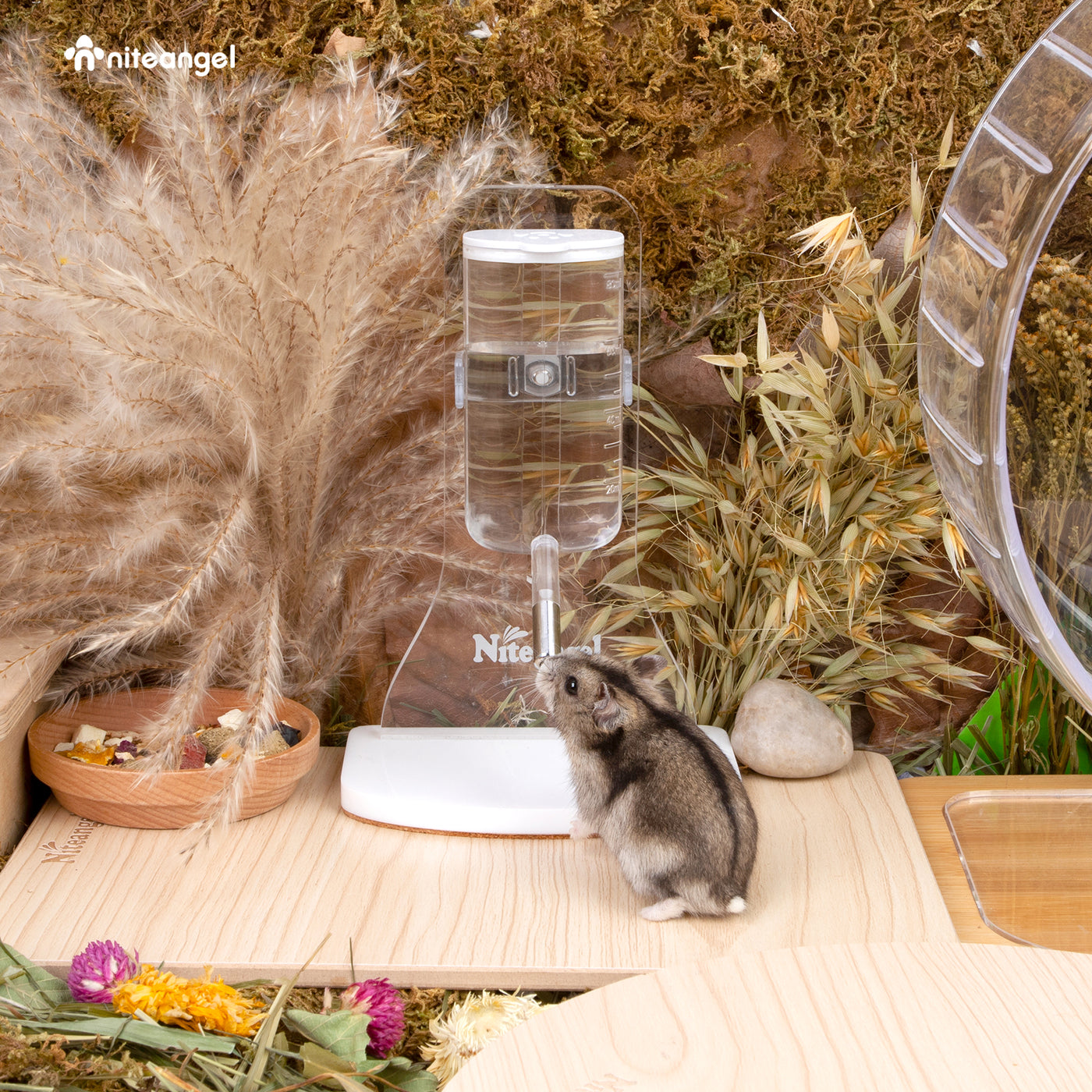 Niteangel 80ml Hamster Water Bottle W/ Stand | Gerbil Water Feeder Dis ...