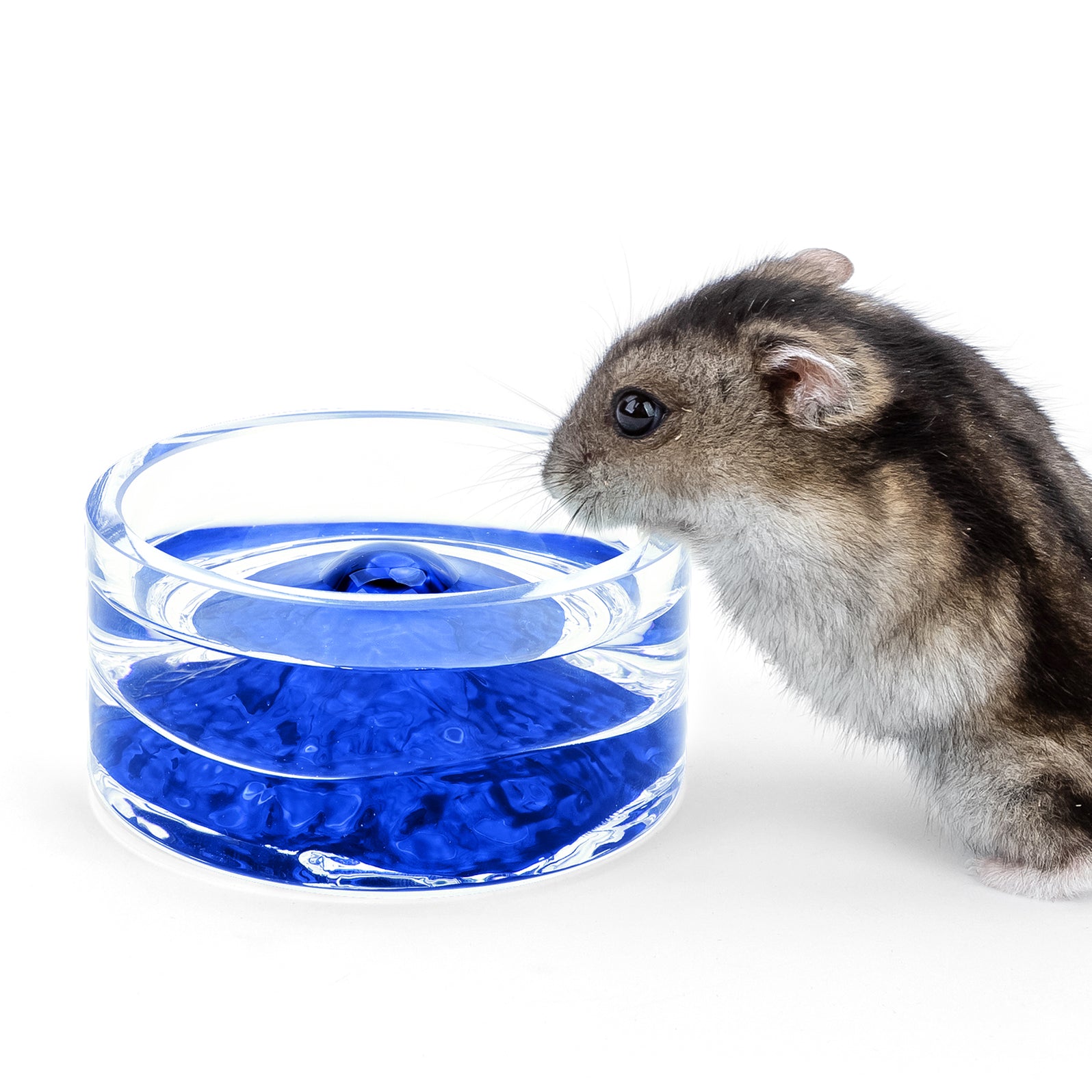 Niteangel Hamster Feeding & Water Bowls - Small Animal Glass Drinking ...