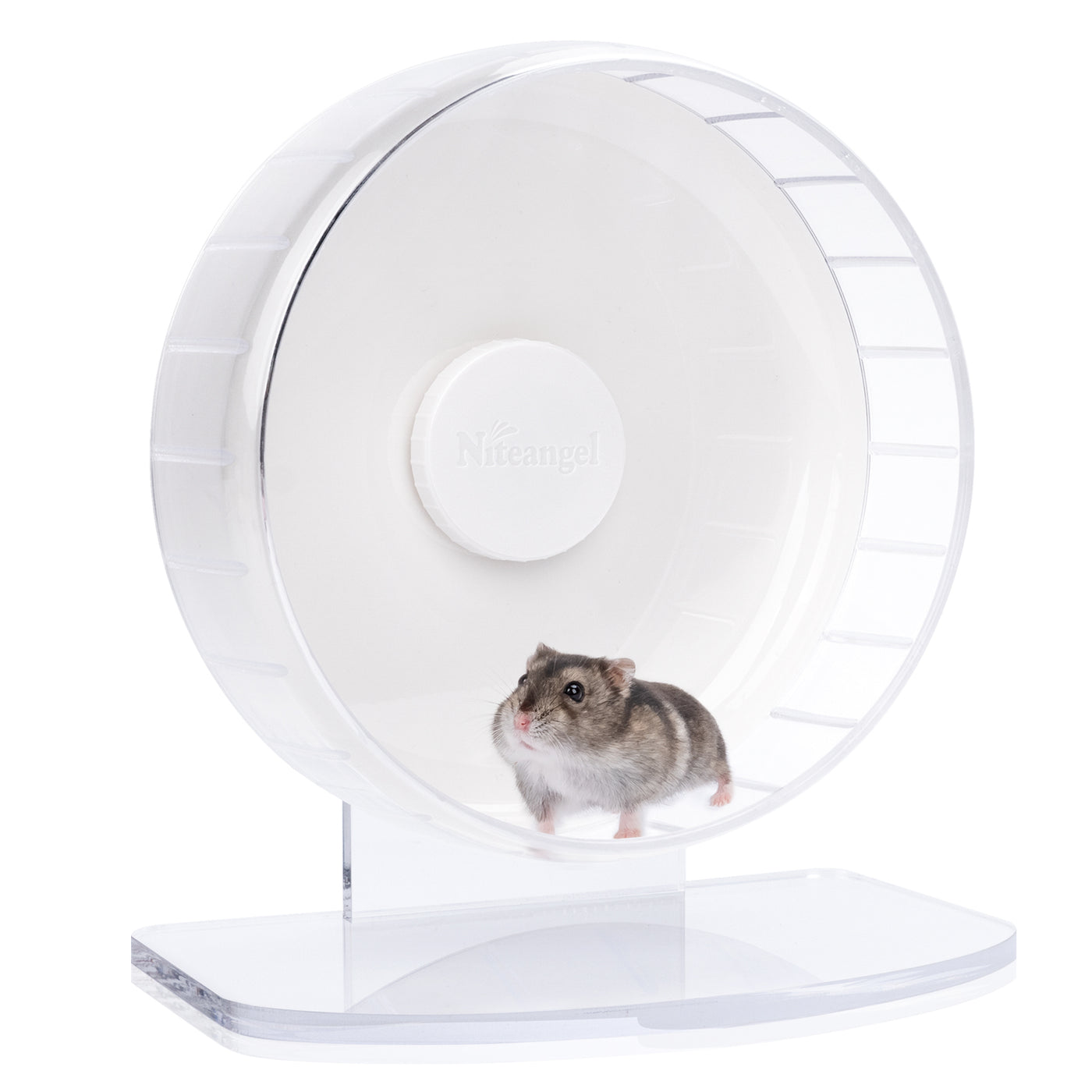 Niteangel Super-Silent Hamster Exercise Wheels — Niteangel Pet