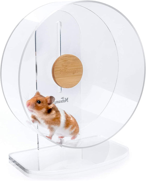 dwarf hamster running on wheel