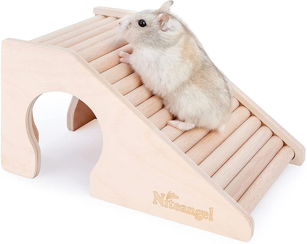 Hamster ladder pets at home sale