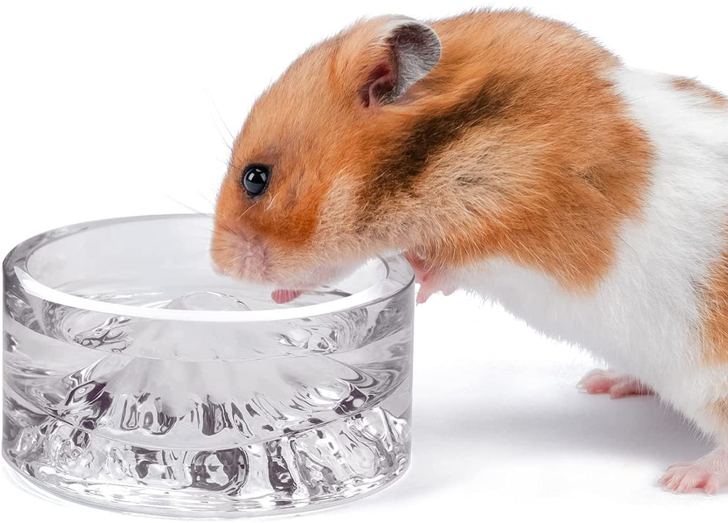 Hamster food shops bowl