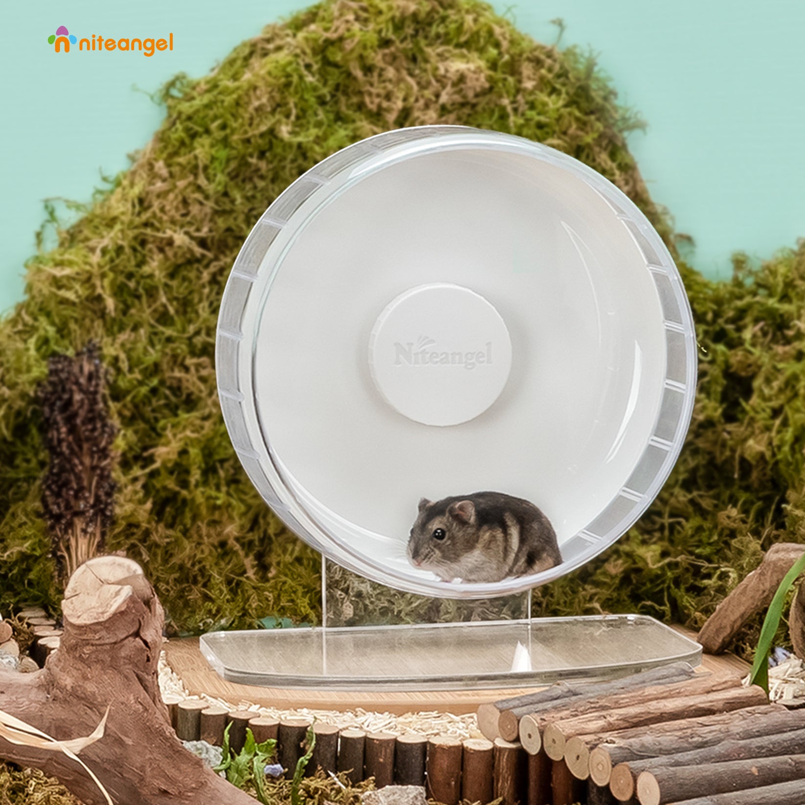 Niteangel Super-Silent Hamster Exercise Wheels — Niteangel Pet